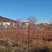 Sabareni, teren intravilan construibil, cu utilitati in apropiere