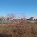 Sabareni, teren intravilan construibil, cu utilitati in apropiere